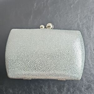 Silver Evening Clutch